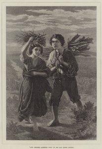 Zigeunerbørn samler træ